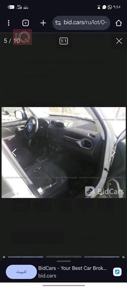 جيب رينيجيد